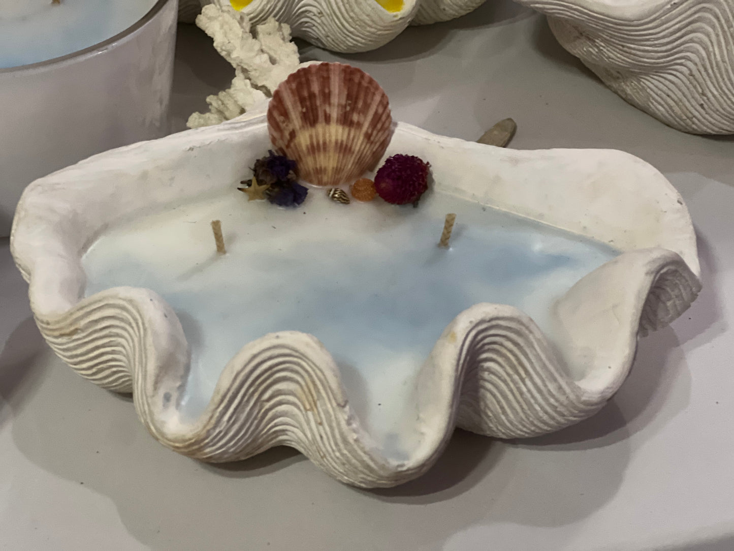Clam shell candle ex large